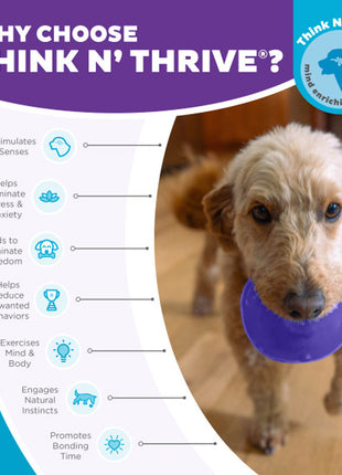 Outward Hound Orbee-Tuff Snoop M Paars