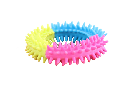 Pawise Rainbow World Ring