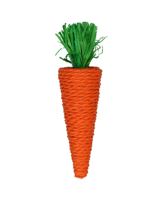 Pawise Play & Chew Carrot