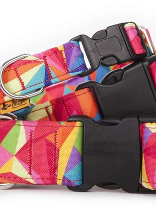 Dingo Obroża regulowana America Kolorado 2,0cm/45cm