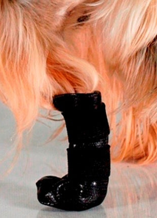 Grande Finale But na chorą łapę r.2 - 5cm