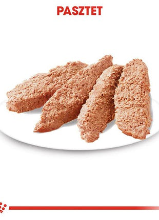 Royal Canin Exigent karma mokra dla wybrednych psów dorosłych, wszystkich ras, pasztet saszetka 85g
