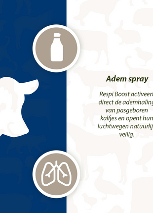 Excellent Respi Boost (Ademspray) 50 ml