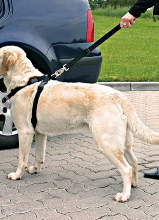 Trixie Szelki samochodowe dla psa L [1292]