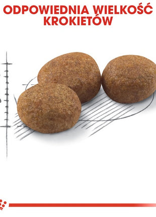 Royal Canin Sterilised karma sucha dla kotów dorosłych, sterylizowanych 2kg