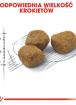 Royal Canin Fit karma sucha dla kotów dorosłych, wspierająca idealną kondycję 2kg