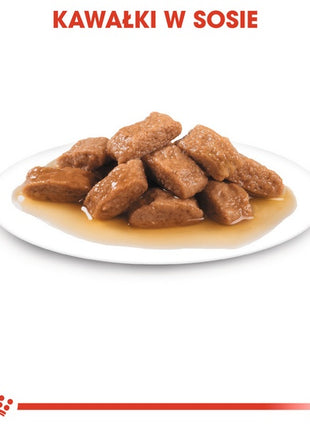 Royal Canin Medium Ageing 10+ karma mokra w sosie dla psów dojrzałych po 10 roku życia, ras średnich saszetka 140g