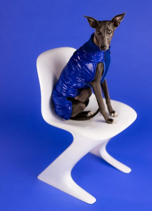 Chaba Kubrak Dopamine 3XL chabrowy