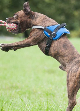 Dingo Piłka plecionka ze sznura 250g/27cm