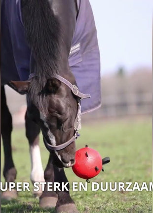 Excellent Horse Fun Play Ball Groen