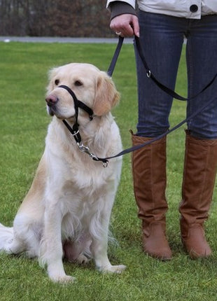 Trixie Uprząż Top Trainer L/3 31cm [TX-13004]