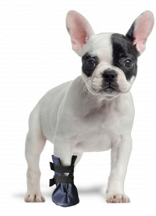 Grande Finale But na chorą łapę r.2 - 5cm