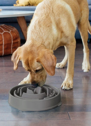 Outward Hound Fun Feeder Miska spowalniająca szara [69892]