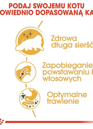 Royal Canin Persian Adult karma sucha dla kotów dorosłych rasy perskiej 400g