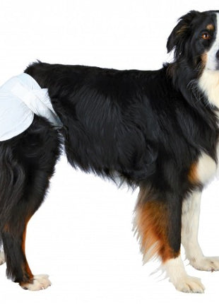 Trixie Pieluchy/Majtki dla suki 12szt/op  S-M  [23632]