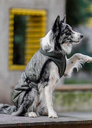 Chaba Kubrak Regulowany Chic XS khaki