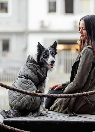 Chaba Kubrak Regulowany Chic 3XL khaki