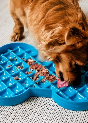 SloDog Slow Feeder Plate Miska spowalniająca duża kość turkusowa