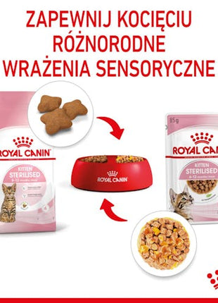 Royal Canin Kitten Sterilised karma mokra w galaretce dla kociąt od 6 do 12 miesiąca życia, sterylizowanych saszetka 85g