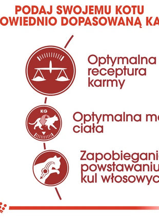 Royal Canin Fit karma sucha dla kotów dorosłych, wspierająca idealną kondycję 400g
