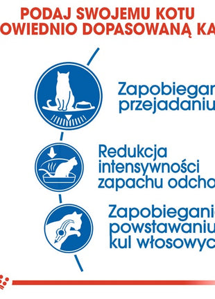 Royal Canin Indoor Apetite Control karma sucha dla kotów dorosłych przebywających w domu, domagających się jedzenia 400g