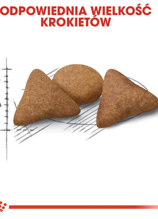 Royal Canin Indoor Apetite Control karma sucha dla kotów dorosłych przebywających w domu, domagających się jedzenia 400g