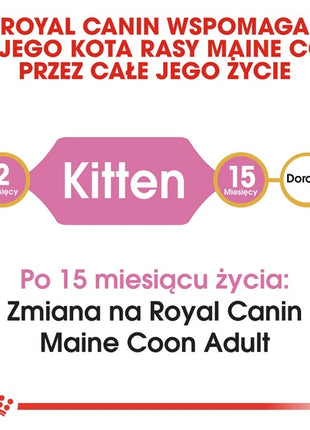 Royal Canin Maine Coon Kitten karma sucha dla kociąt, do 15 miesiąca, rasy maine coon 400g