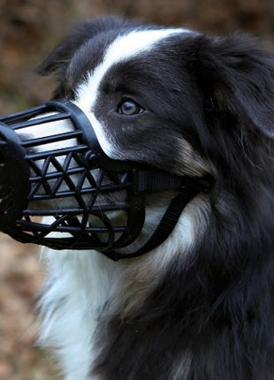 Trixie Kaganiec plastikowy dla psa rozmiar 4 (M) czarny [17604]