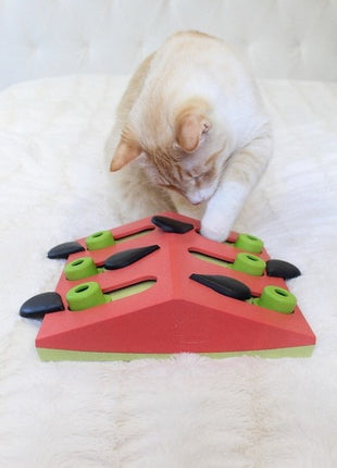 Nina Ottosson Cat Melon Madness Puzzle & Play - gra edukacyjna dla kotów