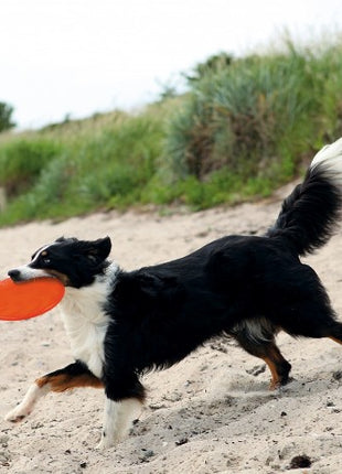 Trixie Frisbee Dysk z gumy TPR 18cm [TX-33505]