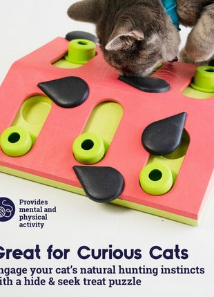 Nina Ottosson Cat Melon Madness Puzzle & Play - gra edukacyjna dla kotów