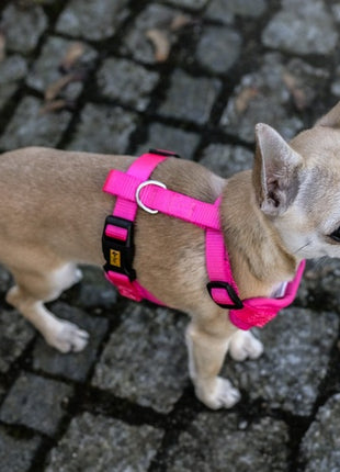 Dingo Szelki bezuciskowe z dwupaskową regulacją L różowe