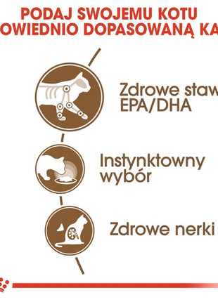 Royal Canin Ageing +12 karma mokra w galaretce dla kotów dojrzałych saszetka 85g