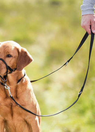 Trixie Uprząż Top Trainer L-XL/4 37cm [TX-13005]