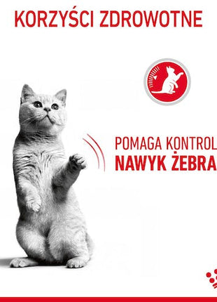 Royal Canin Appetite Control Care karma sucha dla kotów dorosłych, domagających się jedzenia 400g