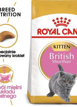 Royal Canin British Shorthair Kitten karma sucha dla kociąt, do 12 miesiąca, rasy brytyjski krótkowłosy 400g