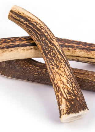 4DOGS Gryzak z poroża M hard