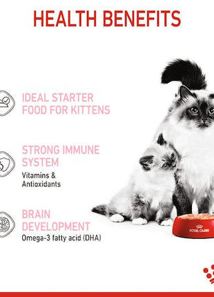 Royal Canin Mother & Babycat Mousse karma mokra - mus dla kociąt i kotek karmiących puszka 195g