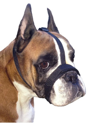 Grande Finale Kaganiec dla psa pekińczyk rozmiar 6 (33-36cm)