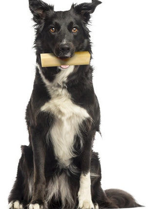 Zolux Przysmak serowa kość z sera himalajskiego S 38g [482310]