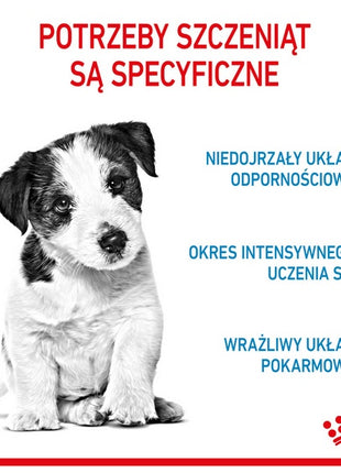 Royal Canin Mini Puppy karma sucha dla szczeniąt, od 2 do 10 miesiąca życia, ras małych 4kg