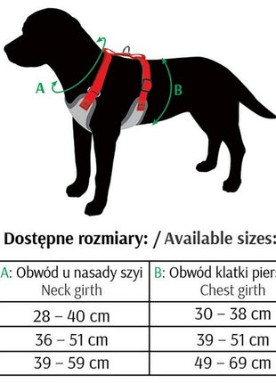 Dingo Szelki bezuciskowe z dwupaskową regulacją S czarne