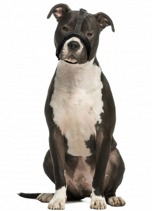 Grande Finale Kaganiec dla psa pekińczyk rozmiar 3 (20-26cm)