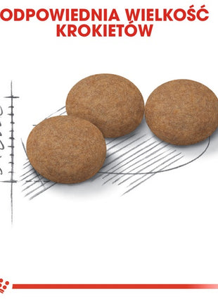 Royal Canin Ageing +12 Sterilised karma sucha dla kotów dojrzałych, sterylizowanych 2kg