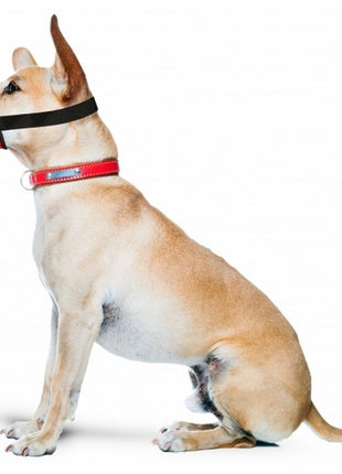 Grande Finale Kaganiec dla psa standard rozmiar 2 (15-24cm)