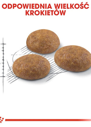 Royal Canin Outdoor karma sucha dla kotów dorosłych, wychodzących na zewnątrz 4kg