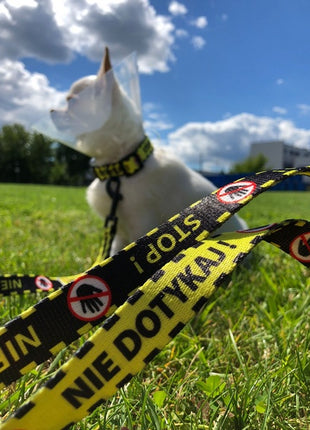 Dingo Smycz przepinana City - Nie Dotykaj 2x220cm