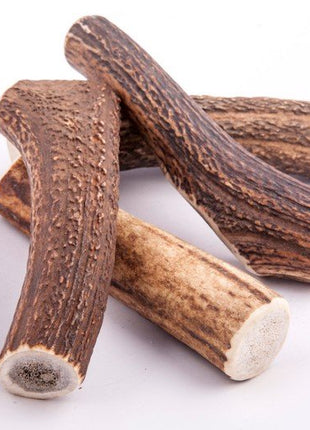 4DOGS Gryzak z poroża XXL hard