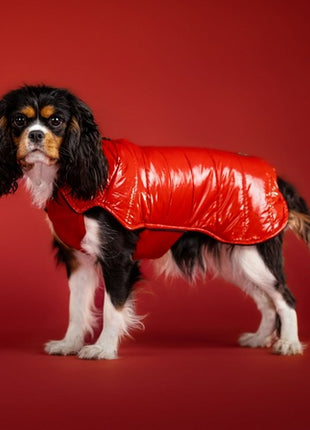 Chaba Kubrak Dopamine 4XL czerwony