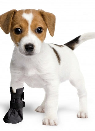 Grande Finale But Softshell na chorą łapę r.6 - 12cm czarny